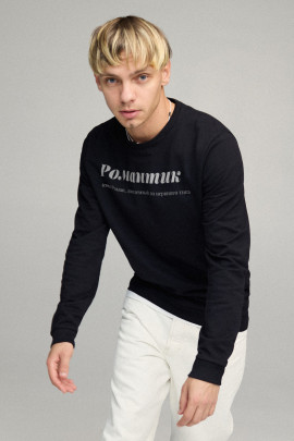 Свитшот мужской BASIC /no flis/