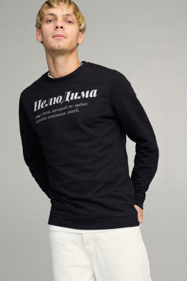 Свитшот мужской BASIC /no flis/