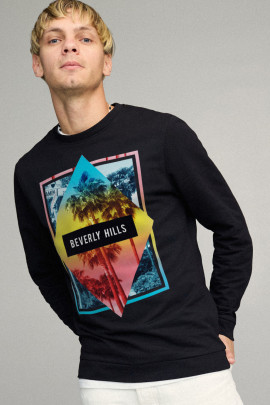 Свитшот мужской BASIC /no flis/