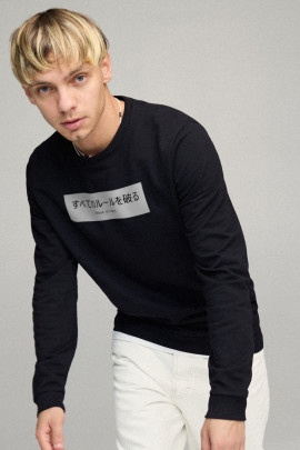 Свитшот мужской BASIC /no flis/