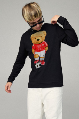 Свитшот мужской BASIC /no flis/