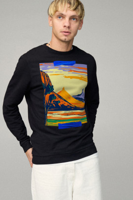 Свитшот мужской BASIC /no flis/