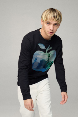 Свитшот мужской BASIC /no flis/