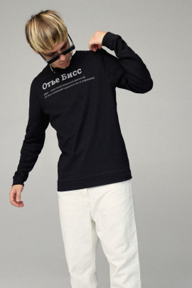 Свитшот мужской BASIC /no flis/