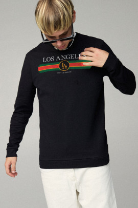 Свитшот мужской BASIC /no flis/