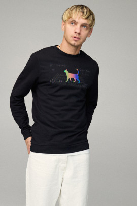 Свитшот мужской BASIC /no flis/