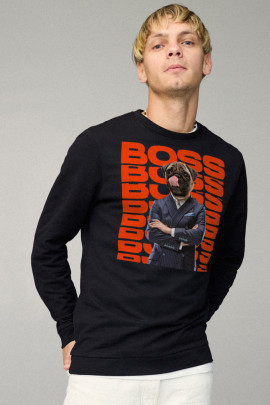 Свитшот мужской BASIC /no flis/