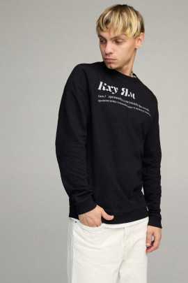 Свитшот мужской BASIC /no flis/