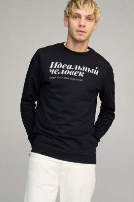 Свитшот мужской BASIC /no flis/