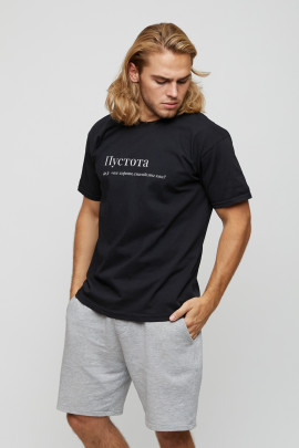 Футболка мужская basic /air print/