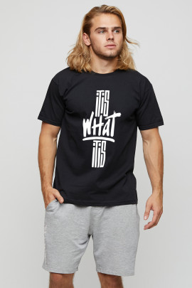 Футболка мужская basic /air print/