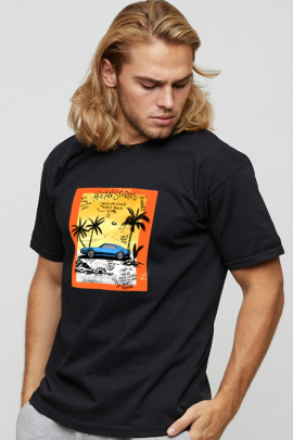 Футболка мужская basic /air print/