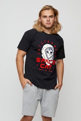 Футболка мужская basic /air print/