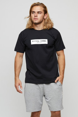 Футболка мужская basic /air print/