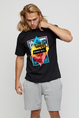 Футболка мужская basic /air print/