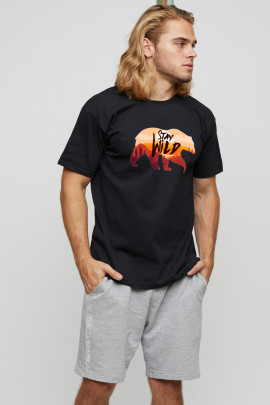 Футболка мужская basic /air print/