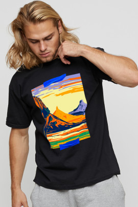 Футболка мужская basic /air print/