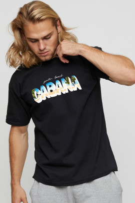 Футболка мужская basic /air print/