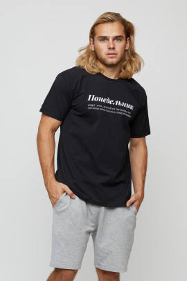 Футболка мужская basic /air print/