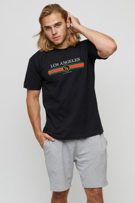 Футболка мужская basic /air print/