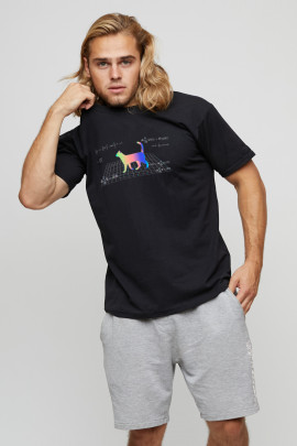 Футболка мужская basic /air print/