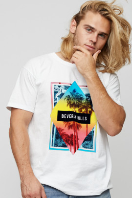 Футболка мужская basic /air print/