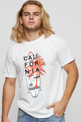 Футболка мужская basic /air print/