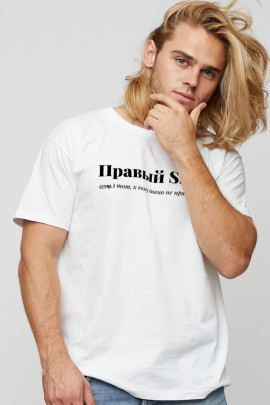 Футболка мужская basic /air print/