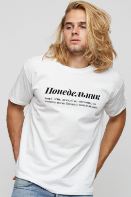 Футболка мужская basic /air print/