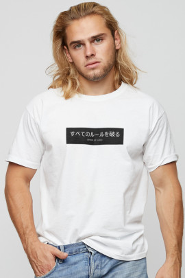 Футболка мужская basic /air print/