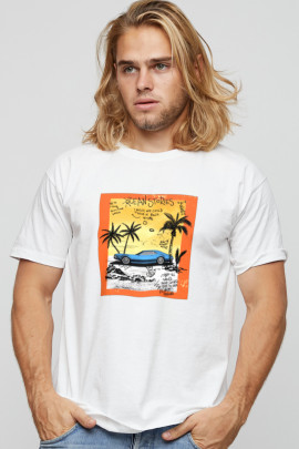 Футболка мужская basic /air print/