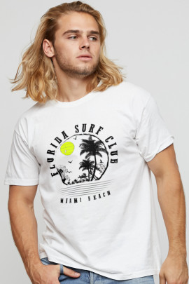 Футболка мужская basic /air print/