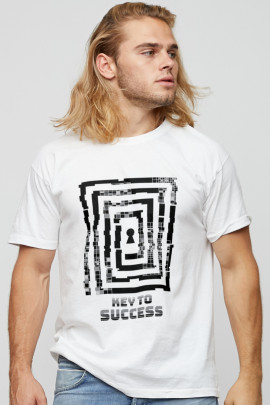 Футболка мужская basic /air print/