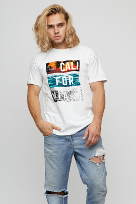 Футболка мужская basic /air print/