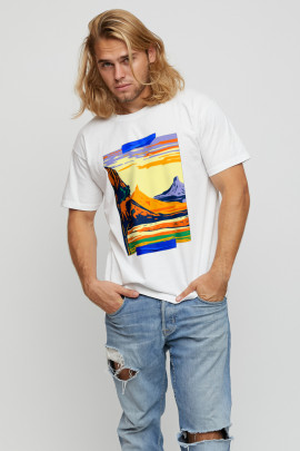 Футболка мужская basic /air print/