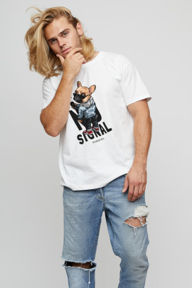 Футболка мужская basic /air print/