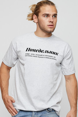 Футболка мужская basic 