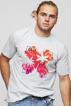 Футболка мужская basic 