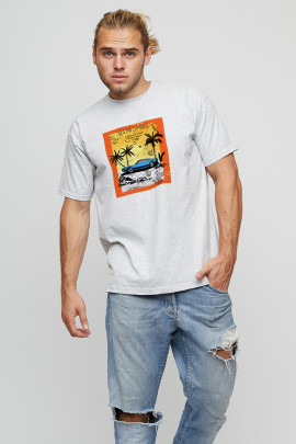 Футболка мужская basic 