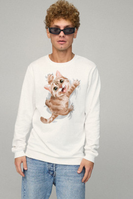 Свитшот мужской BASIC /no flis/