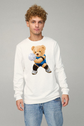 Свитшот мужской BASIC /no flis/