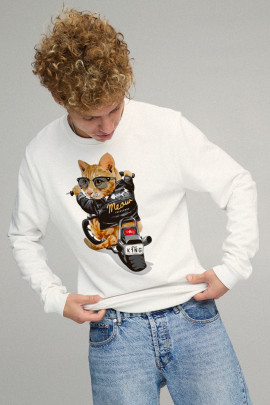 Свитшот мужской BASIC /no flis/