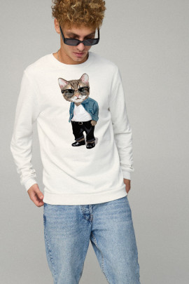 Свитшот мужской BASIC /no flis/