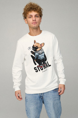 Свитшот мужской BASIC /no flis/