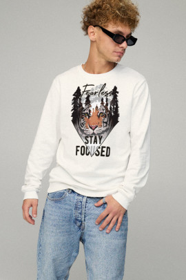 Свитшот мужской BASIC /no flis/