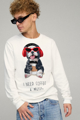 Свитшот мужской BASIC /no flis/