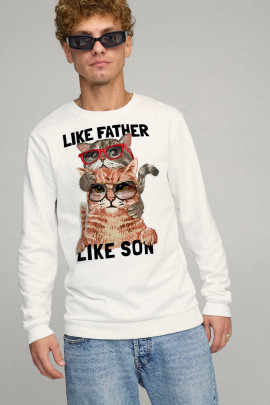 Свитшот мужской BASIC /no flis/