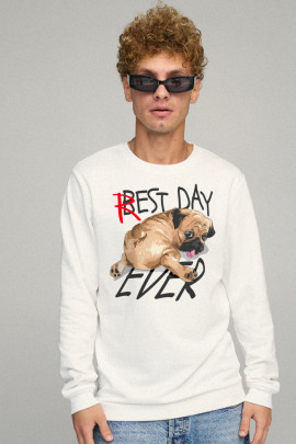 Свитшот мужской BASIC /no flis/