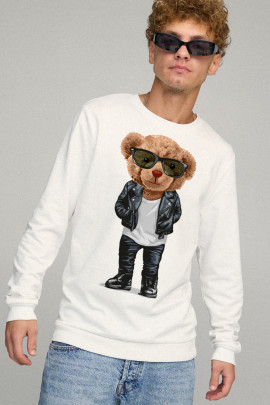 Свитшот мужской BASIC /no flis/