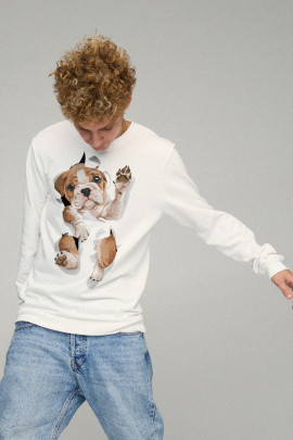 Свитшот мужской BASIC /no flis/